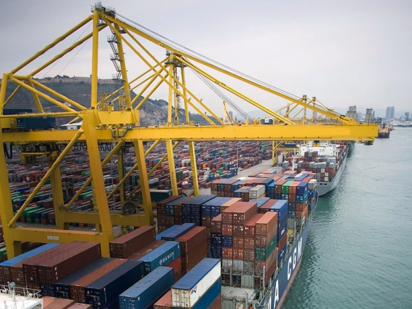 Кран-перегружатель, Контейнерный перегружатель